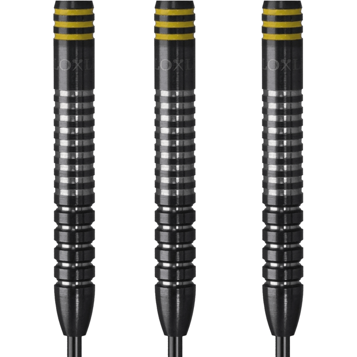 Loxley Massacre - 90% Tungsten Steel Tip Darts 25 Grams Darts