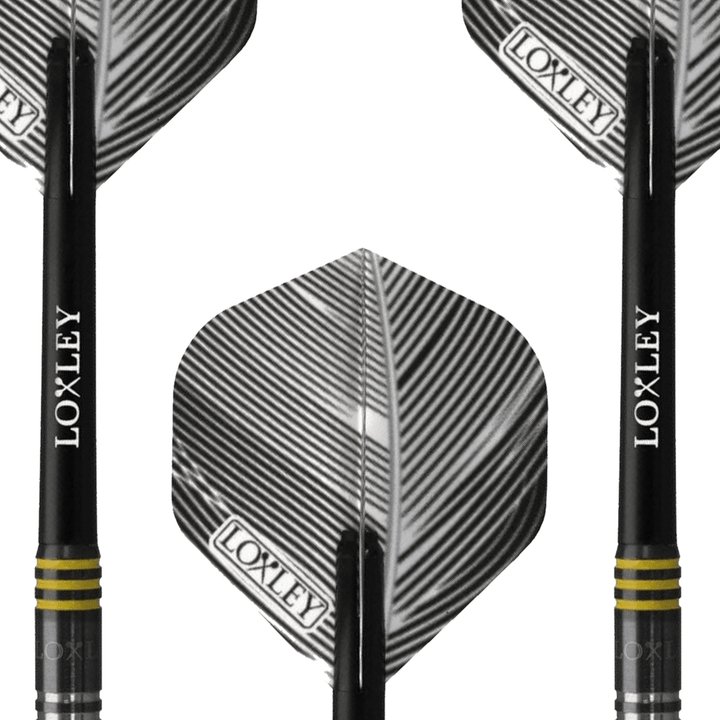Loxley Massacre - 90% Tungsten Steel Tip Darts 25 Grams Darts